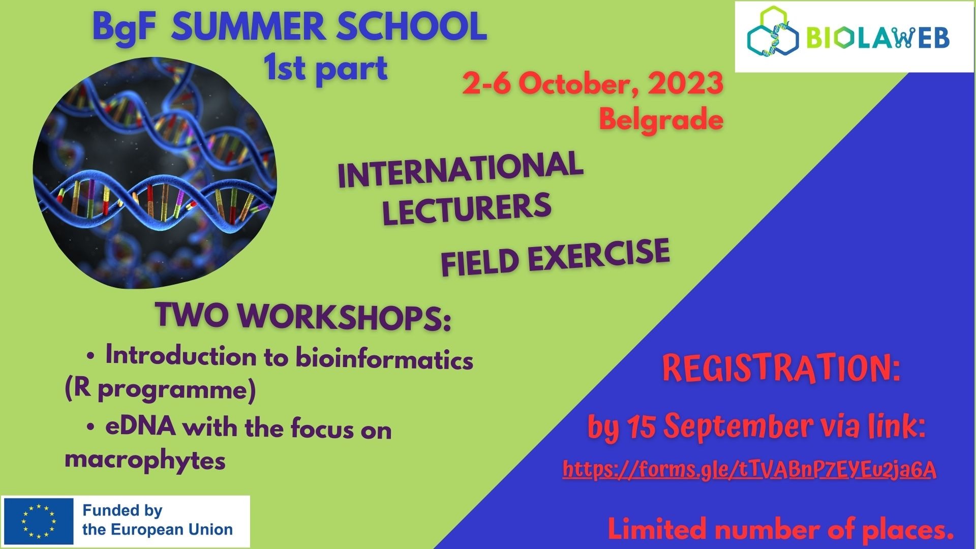 BgF Summer school 1st part - registration